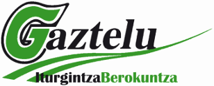 Gaztelu Iturgintza. Logotipoa